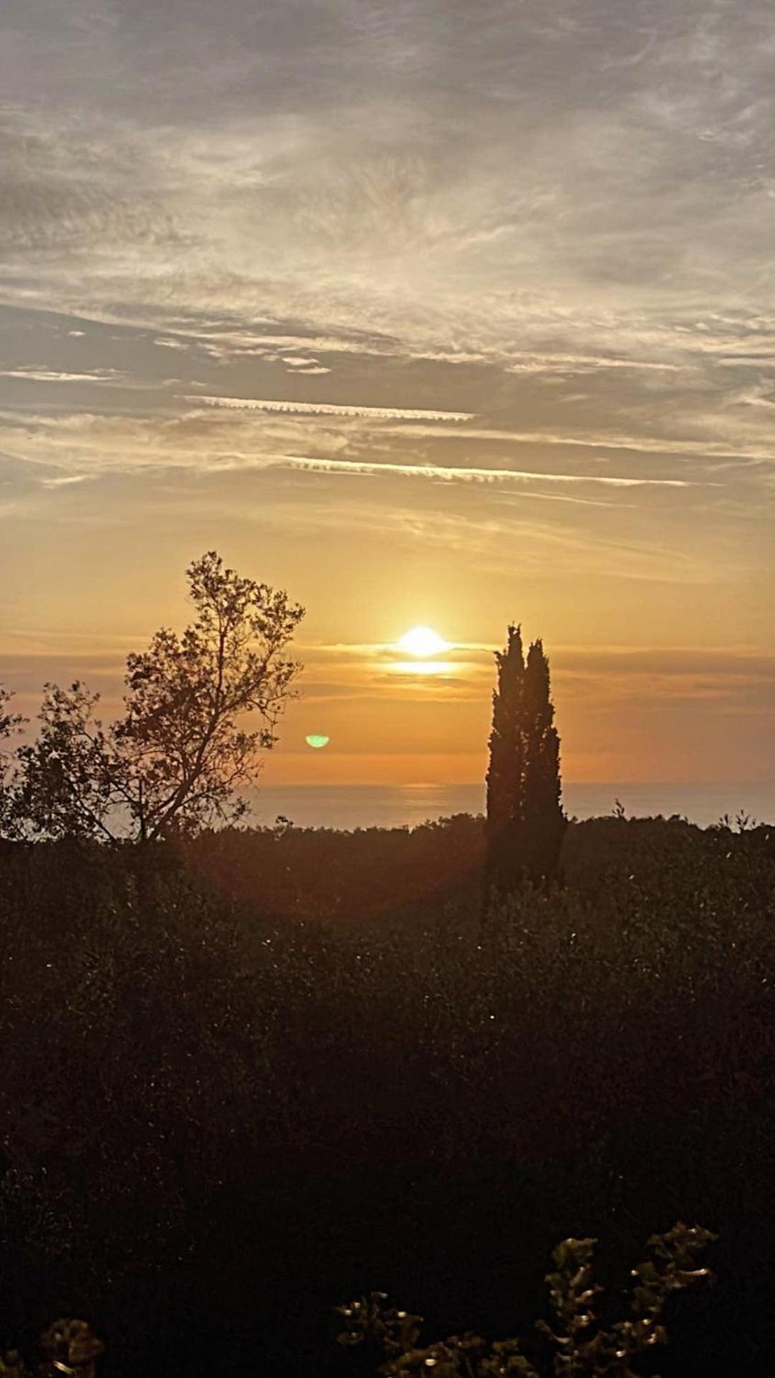 Villa Maria Paleokastritsa Dış mekan fotoğraf